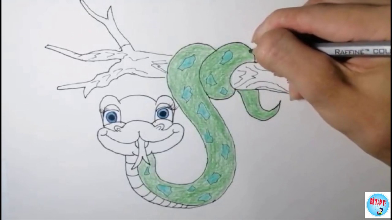 Cách Vẽ Con Rắn Dễ Thương | Hướng Dẫn Bé Vẽ Và Tô Màu | How To Draw Cute  Snake - Youtube