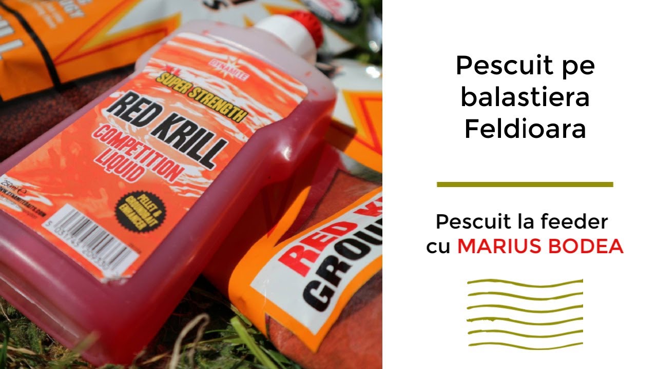 Pescuit pe balastiera Feldioara