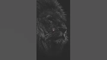 اسمع احنا اسود القاع ما ننشرى و ماننباع Explore ترند Tiktok Music حالات Trending المراجل 