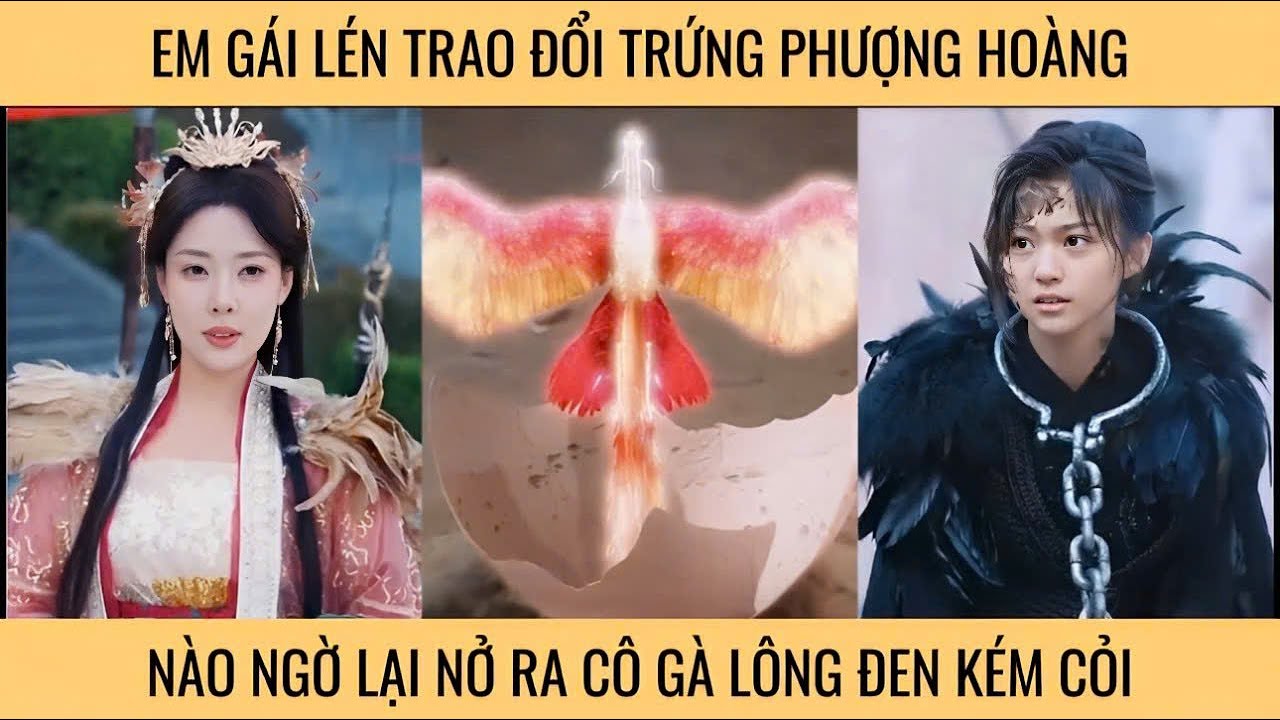 Em gái lén trao đổi trứng phượng hoàng nào ngờ lại nở ra cô gà lông đen kém cỏi