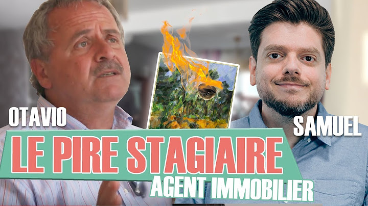Le Pire Stagiaire : l'agent immobilier (version longue)
