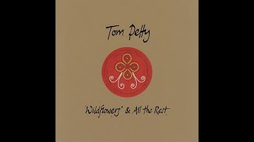 4.01  You Don't Know How It Feels (Live at Fleet Center, Boston MA - December 14, 2002)