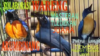 MASTERAN TLEDEKAN JUARA /ARUMBINANG, WARENG, PUTRA LANGIT /ROLTEMBAK VOL TEMBUS SPEED RAPAT