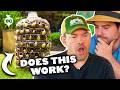 Professional Gardeners React to Viral Seed Starting Hacks thumbnail