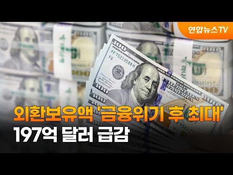 외환보유액 금융위기 후 최대 197억 달러 급감 연합뉴스TV YonhapnewsTV 