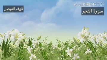تلاوة خاشعة /نايف الفيصل /سورة الفجر