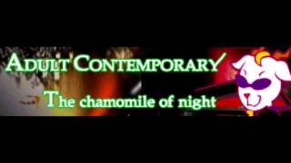 ADULT CONTEMPORARY 「The chamomile of night」