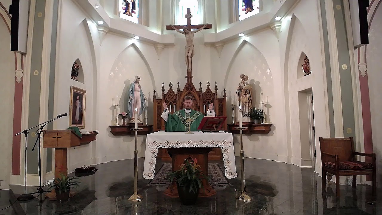 Monday of the Eleventh Week in Ordinary Time, Holy Mass at St. Peter's ...