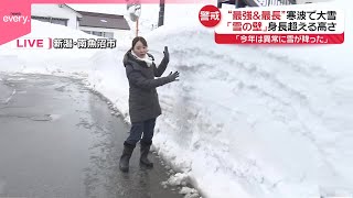 【中継】“最強＆最長”寒波で大雪 「雪の壁」身長超える高さ…新潟・南魚沼市から