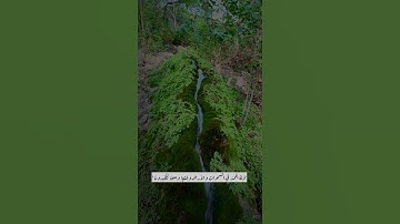 سورة الروم بصوت جميل||حالات واتس اب🤍