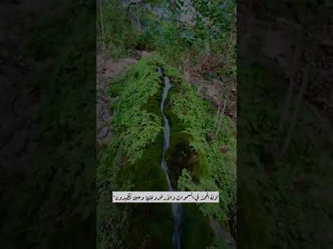 سورة الروم بصوت جميل حالات واتس اب 