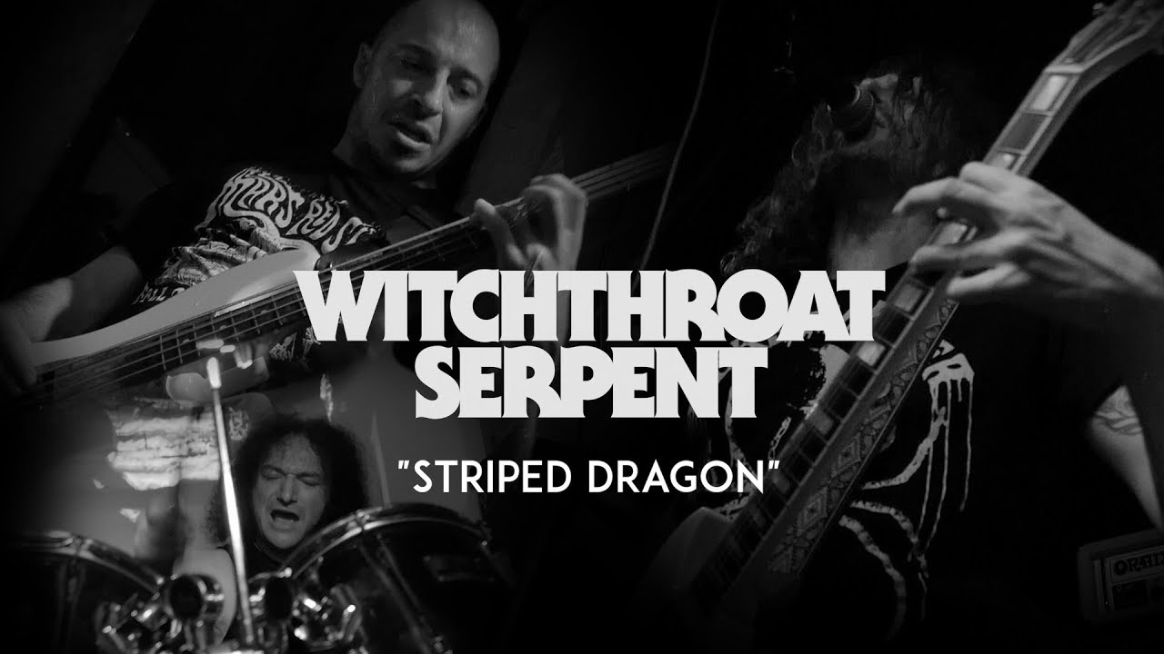 Witchthroat Serpent - Striped Dragon [Live Puzzle Pub 2017]