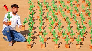Talking With 100 Talking Cactus  Worth ₹50000/