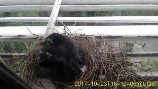 20171023T1600~1630