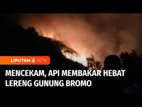 Kebakaran Terjadi di Lereng Gunung Bromo, Api Masih Belum Bisa Dipadamkan | Liputan 6