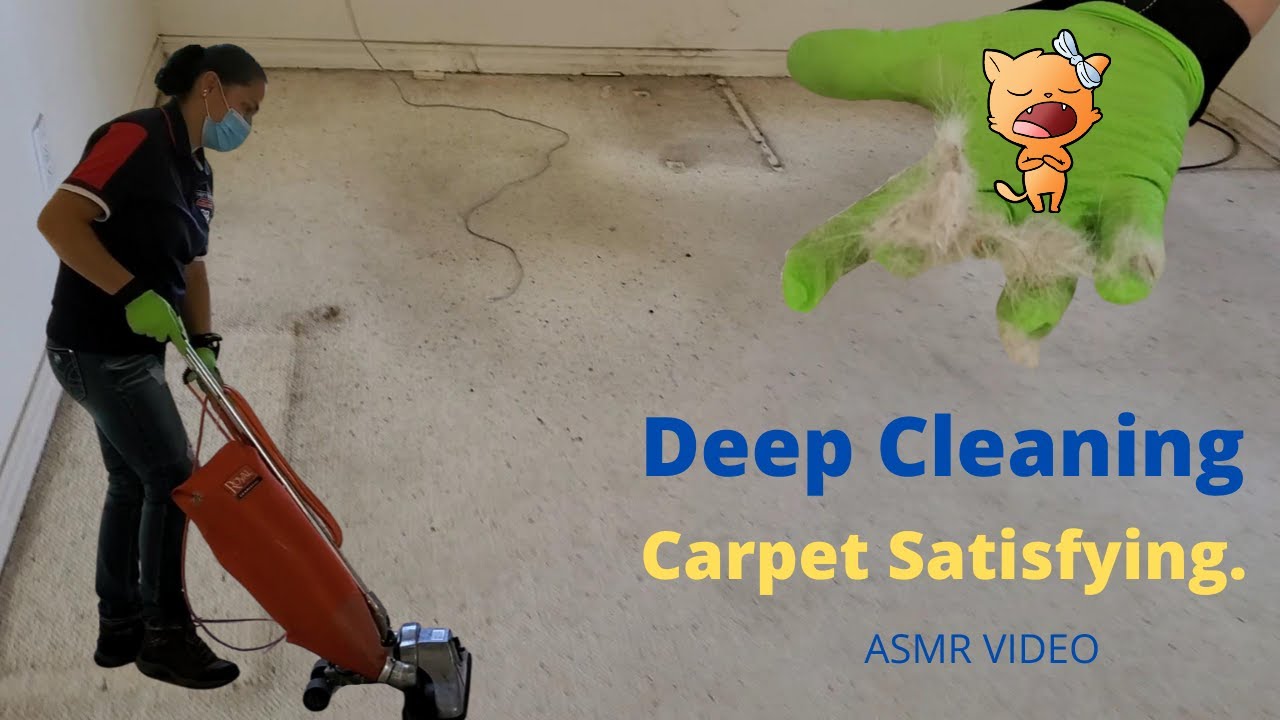 Deep Cleaning Carpet Satisfying YouTube
