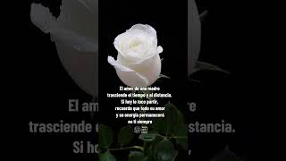 La mejor forma de honrarla y agradecerle, es vivir la vida que ella te dio #mamá #madre #shorts #fyp