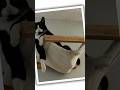 All the kitties