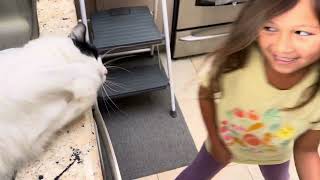 Harlee & SweetPea play by WuCrew 20 views 4 months ago 1 minute, 51 seconds