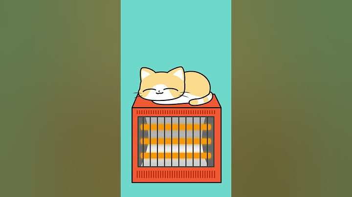 Bread loaf