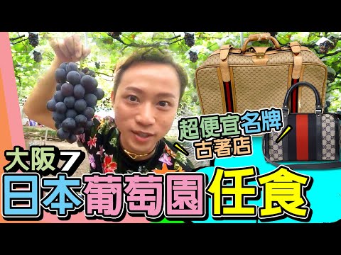 【關西大阪 7】超划算名牌古著推介 三國丘 NEXT 51│柏原市 巨峰葡萄果園放題│千百舌鳥 超便宜古著店 KINJI古著屋│難波 GATTON拉麵 超美味餃子│OSAKA 窮遊達人VLOG