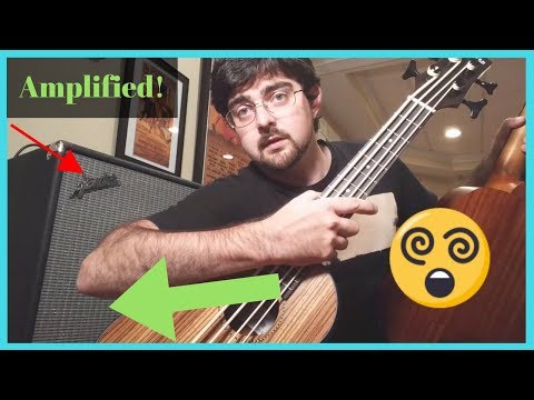 cheapest-u-bass-vs.-bass-ukulele-amp-test