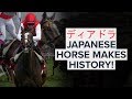JAPANESE RACEHORSE DEIRDRE CONQUERS EUROPE ディアドラ 競馬