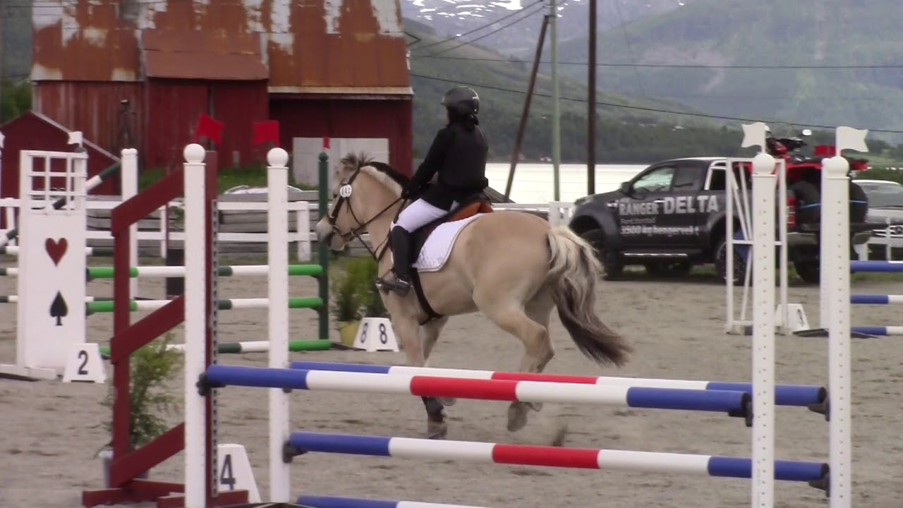 FJORDHEST: sprangstevne Skånland 24.06.2017. 80cm - YouTube