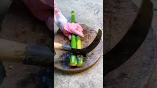 DD 55444 mini rotary tilling and riding all-in one tree