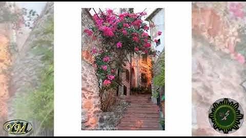 044  Surat  AdDukhan  الشيخ الشحات محمد أنور القرآن الكريم كامل جودة عالية سورة الدخان