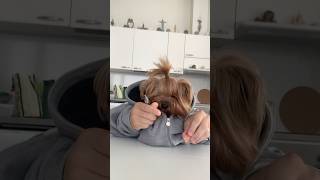 🐾, позитив, юмор для всех, юмор, приколы, йорк, собака, смешные, dog, самые смешные видео в мире,