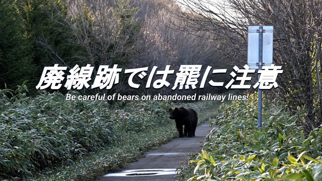 【廃線跡】廃止されたあの駅は今。その11 What is the current status of that abolished station?