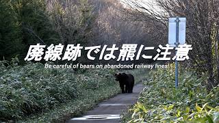【廃線跡】廃止されたあの駅は今。その11 What is the current status of that abolished station?