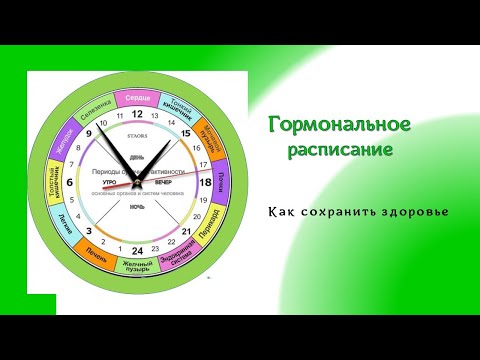 Расписание гормонов. Как сохранить здоровье.