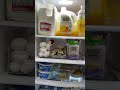 what’s inside in our fridge #milk #egg #fridge #organize #food