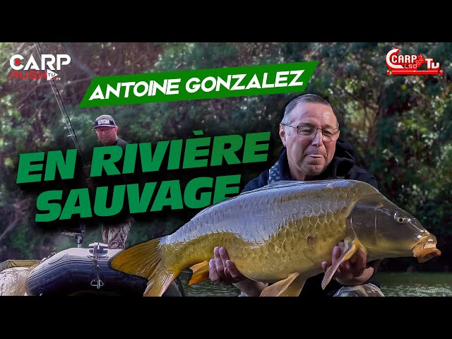 CARP LSD TV | En  Rivière Sauvage avec Antoine Gonzalez | Carp Fishing