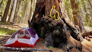 Backpacking Kings Canyon National Park California | Hiking & Backcountry Camping in Redwood Canyon