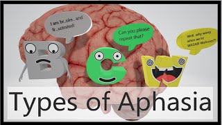 Aphasia Types (Mnemonic)