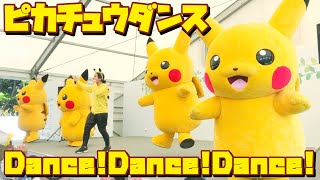 みんなde踊ろう!!ピカチュウダンス!!!! 【全国都市緑化よこはまフェア POKEMON with YOU ガーデン】☆ ピカチュウ大量発生チュウ！ by ヒノッチ 24,573 views 4 years ago 7 minutes, 13 seconds