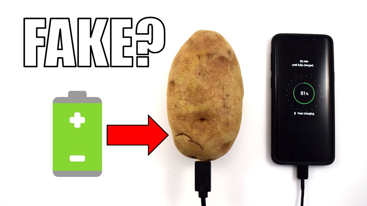 ⚡Can You Charge A Phone With A Potato Battery?🥔 - Youtube