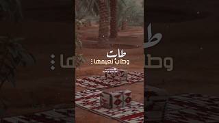 انشودة - هي جنة طاب وطاب نعيمها - حالة واتس اب #quran #allah #اشتراك