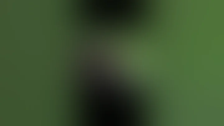 “#Pot for Pot”: #Michigan cannabis shops react to 24% wholesale #tax on #Marijuana