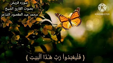 سوره قريش بصوت القارئ الشيخ محمد عبد المقصود الشاعر