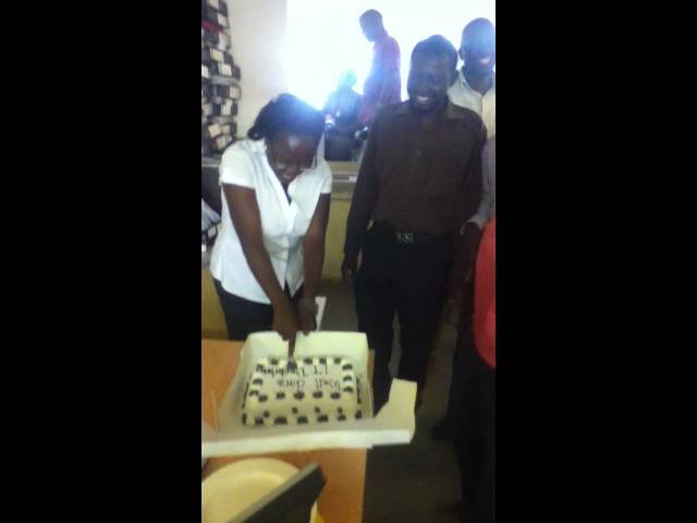 The Cuts - Pami�tam