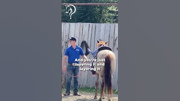 Working With A Client’s EMM Mustang! Part 3! | The Horse Guru - Michael Gascon