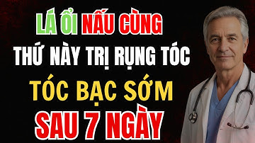 Cách Trị Tóc Bạc Sớm Bằng Lá Ổi – Giúp Tóc Đen, Chắc Khỏe Và An Toàn Sau 7 Ngày!