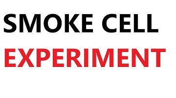 A Level Physics: Brownian Motion and the Smoke Cell Experiment