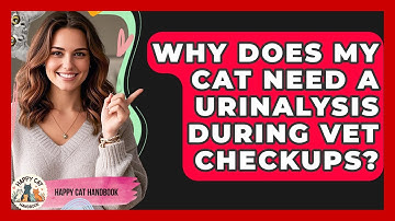 Why Does My Cat Need A Urinalysis During Vet Checkups? - Happy Cat Handbook