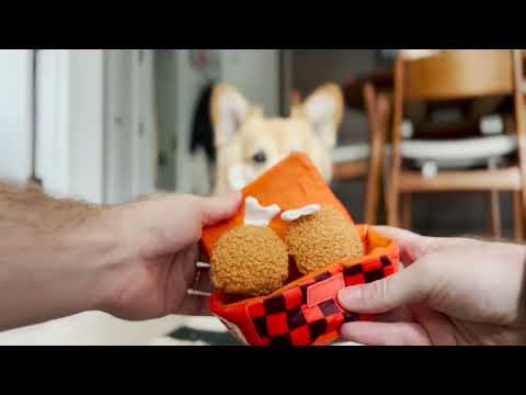 Video: 19 themakoffers met honden thema om deze feestdagen te geven (of te houden)
