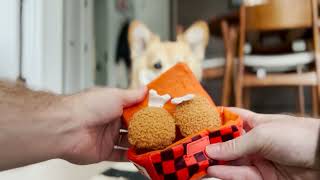 Keep Your Dog Busy This Holiday Season With Super Chewer by BARK 208,973 views 1 year ago 1 minute, 1 second